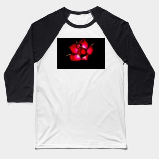 Ladybird on a Red Rose Baseball T-Shirt